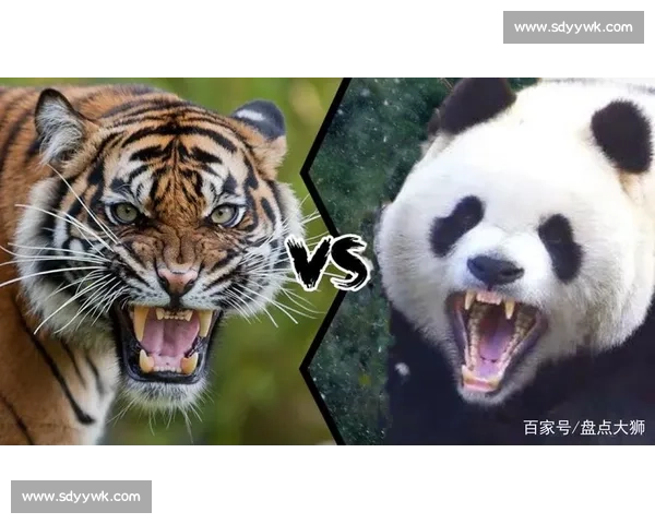 奥林匹奥vs强敌正面交锋谁能在关键之战中笑到最后时刻