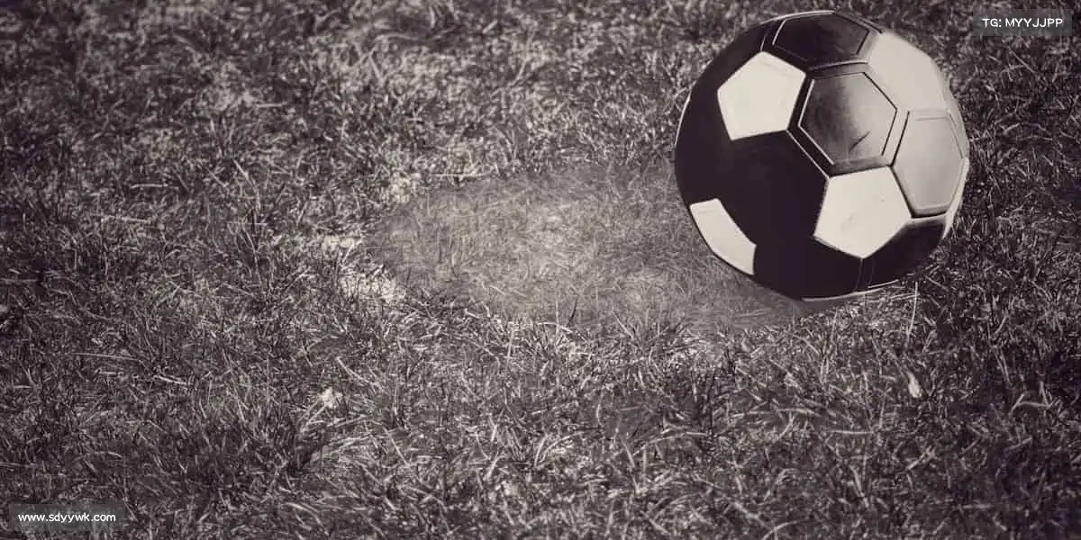 我们的核心竞争力